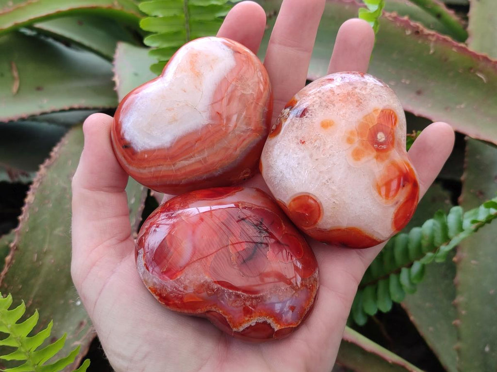 Polished Carnelian Agate Gemstone Hearts x 6 From Madagascar - Toprock Gemstones and Minerals 