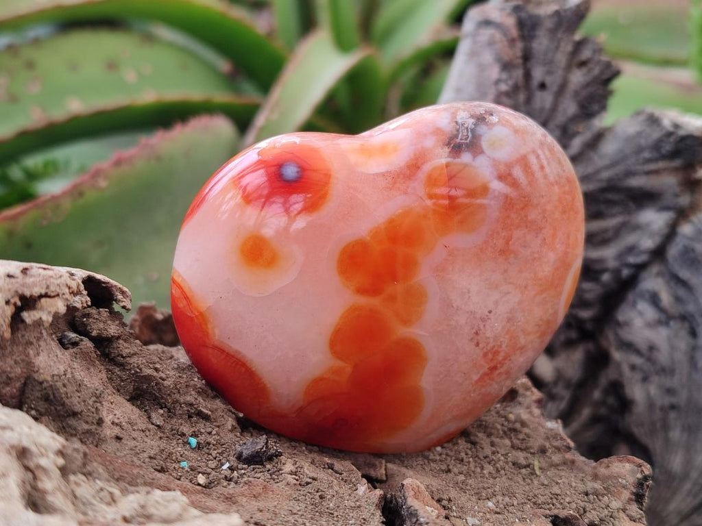 Polished Carnelian Agate Gemstone Hearts x 6 From Madagascar - Toprock Gemstones and Minerals 
