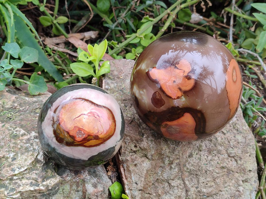 Polished Polychrome Jasper Spheres x 2 From Androka, Madagascar - Toprock Gemstones and Minerals 