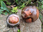 Polished Polychrome Jasper Spheres x 2 From Androka, Madagascar - Toprock Gemstones and Minerals 