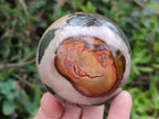 Polished Polychrome Jasper Spheres x 2 From Androka, Madagascar - Toprock Gemstones and Minerals 