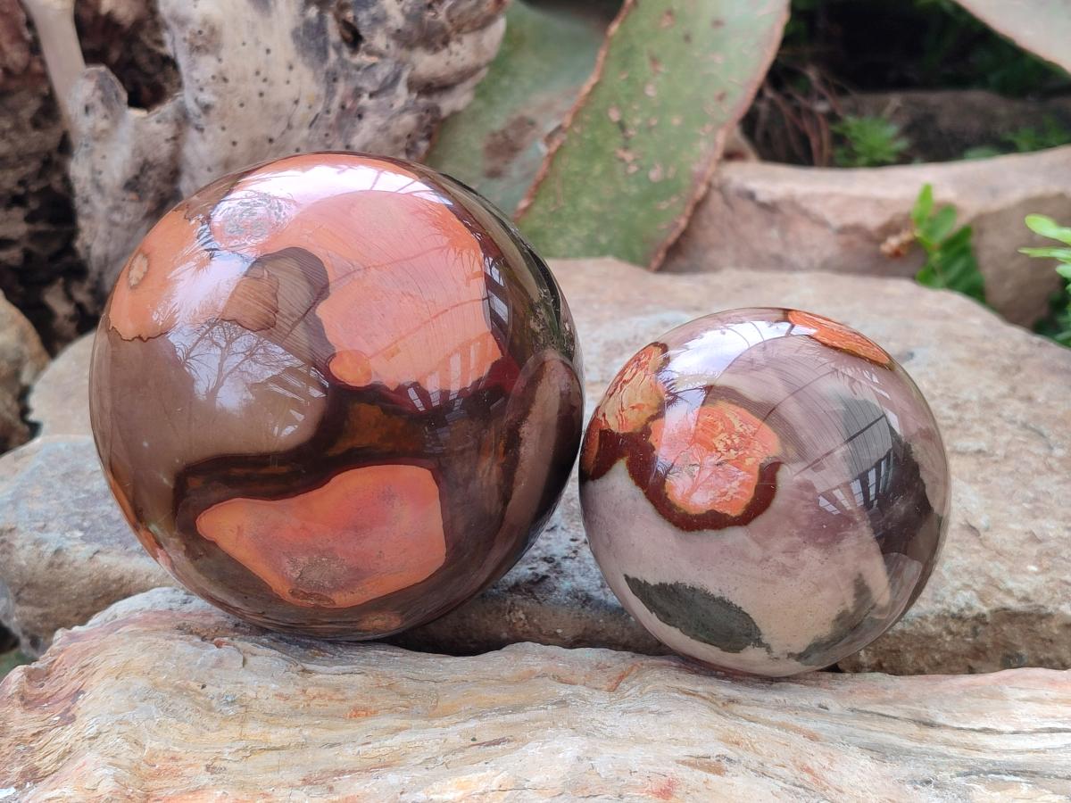 Polished Polychrome Jasper Spheres x 2 From Androka, Madagascar - Toprock Gemstones and Minerals 