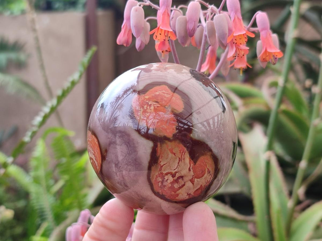 Polished Polychrome Jasper Spheres x 2 From Androka, Madagascar - Toprock Gemstones and Minerals 