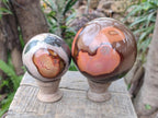Polished Polychrome Jasper Spheres x 2 From Androka, Madagascar - Toprock Gemstones and Minerals 