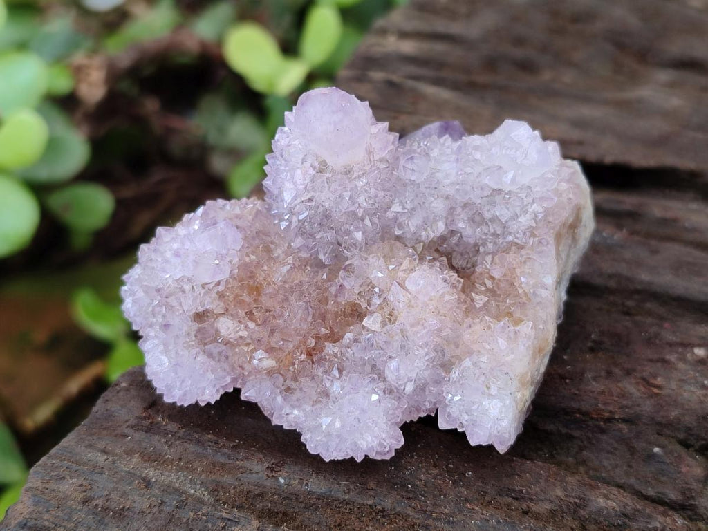 Natural Spirit Amethyst Crystals and Clusters x 12 From Boekenhouthoek, South Africa - Toprock Gemstones and Minerals 