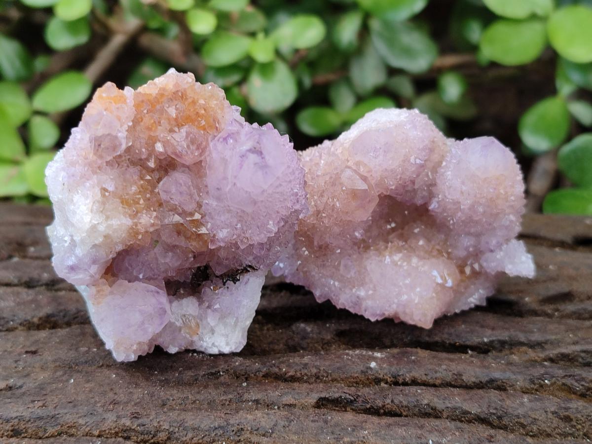 Natural Spirit Amethyst Crystals and Clusters x 12 From Boekenhouthoek, South Africa - Toprock Gemstones and Minerals 