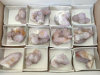 Natural Spirit Amethyst Crystals and Clusters x 12 From Boekenhouthoek, South Africa - Toprock Gemstones and Minerals 