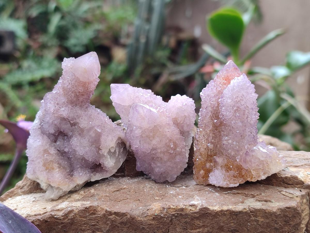 Natural Spirit Amethyst Crystals and Clusters x 12 From Boekenhouthoek, South Africa - Toprock Gemstones and Minerals 