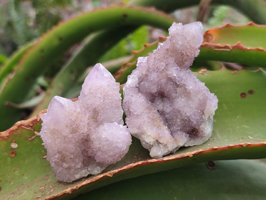 Natural Spirit Amethyst Crystals and Clusters x 12 From Boekenhouthoek, South Africa - Toprock Gemstones and Minerals 