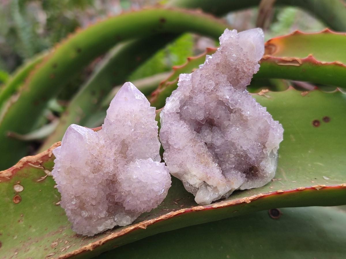 Natural Spirit Amethyst Crystals and Clusters x 12 From Boekenhouthoek, South Africa - Toprock Gemstones and Minerals 