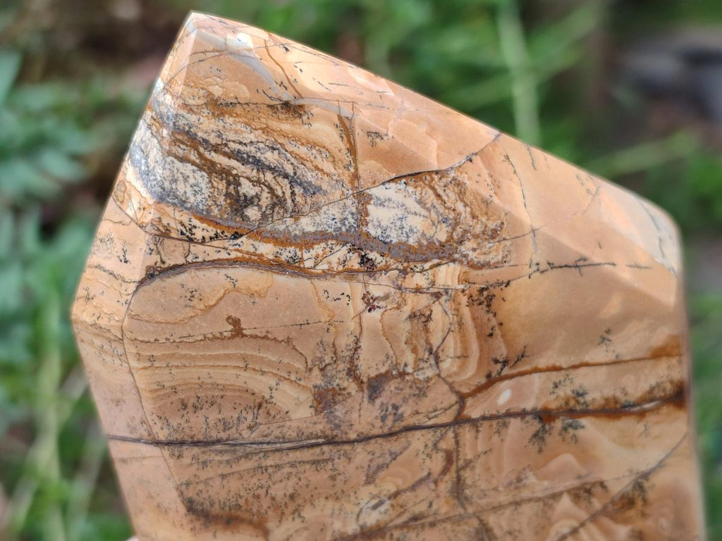 Polished Picture Stone Jasper Display Crystals x 3 From Ais-Ais, Namibia - Toprock Gemstones and Minerals 