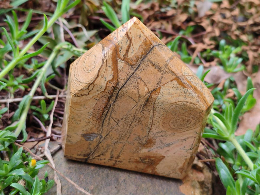 Polished Picture Stone Jasper Display Crystals x 3 From Ais-Ais, Namibia - Toprock Gemstones and Minerals 
