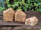 Polished Picture Stone Jasper Display Crystals x 3 From Ais-Ais, Namibia - Toprock Gemstones and Minerals 