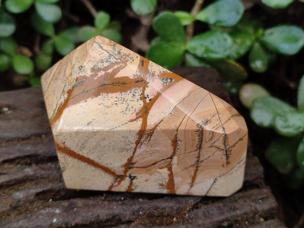 Polished Picture Stone Jasper Display Crystals x 3 From Ais-Ais, Namibia - Toprock Gemstones and Minerals 