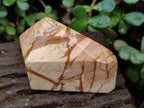 Polished Picture Stone Jasper Display Crystals x 3 From Ais-Ais, Namibia - Toprock Gemstones and Minerals 