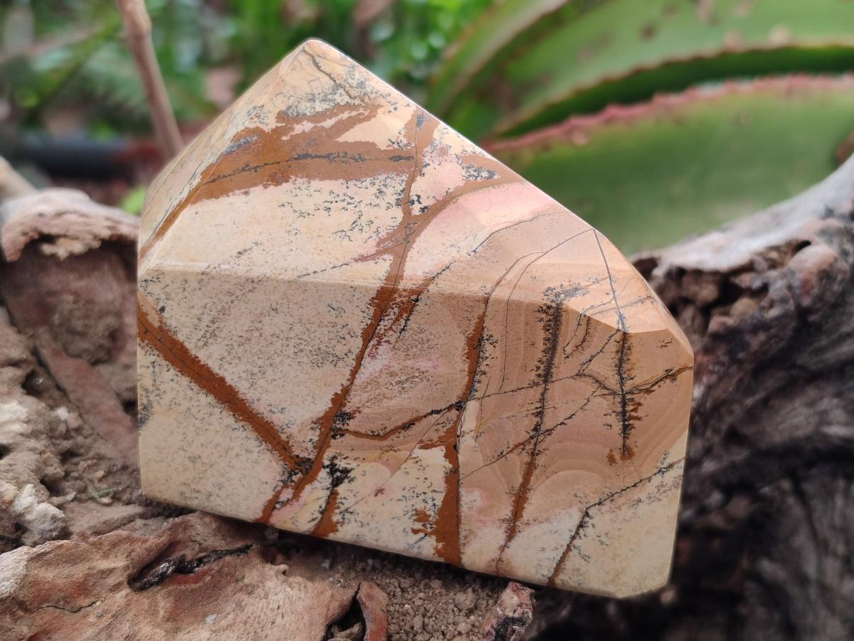 Polished Picture Stone Jasper Display Crystals x 3 From Ais-Ais, Namibia - Toprock Gemstones and Minerals 