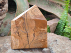 Polished Picture Stone Jasper Display Crystals x 3 From Ais-Ais, Namibia - Toprock Gemstones and Minerals 