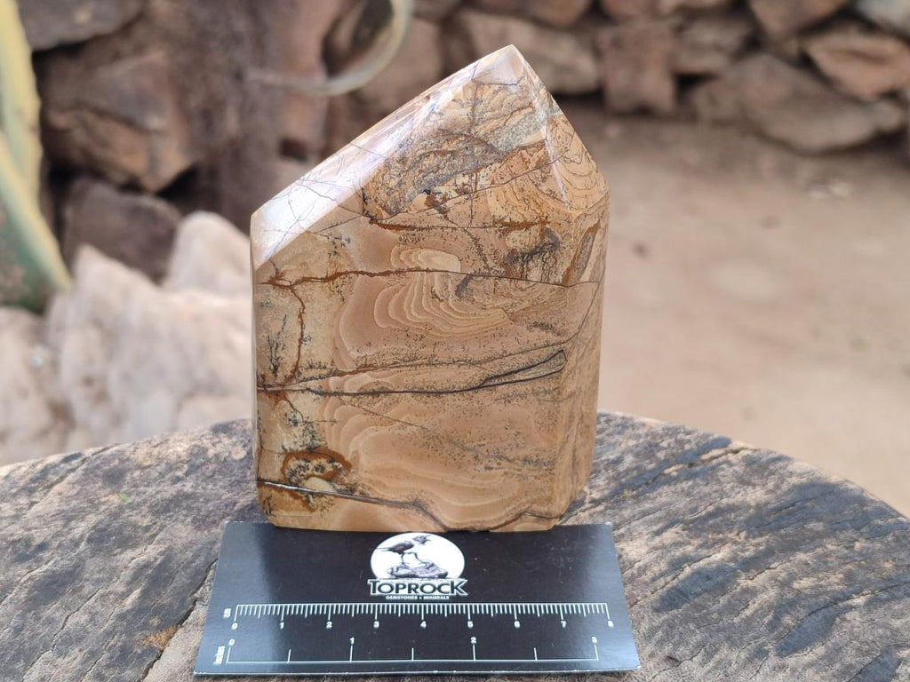 Polished Picture Stone Jasper Display Crystals x 3 From Ais-Ais, Namibia - Toprock Gemstones and Minerals 