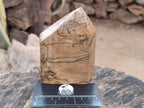 Polished Picture Stone Jasper Display Crystals x 3 From Ais-Ais, Namibia - Toprock Gemstones and Minerals 