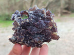 Natural Smokey Fluorite with yellow Muscovite Mica Specimens x From Erongo, Namibia - Toprock Gemstones and Minerals 