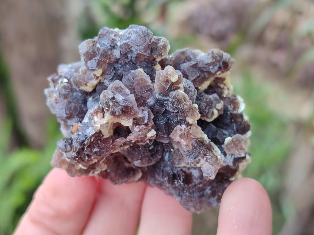 Natural Smokey Fluorite with yellow Muscovite Mica Specimens x From Erongo, Namibia - Toprock Gemstones and Minerals 