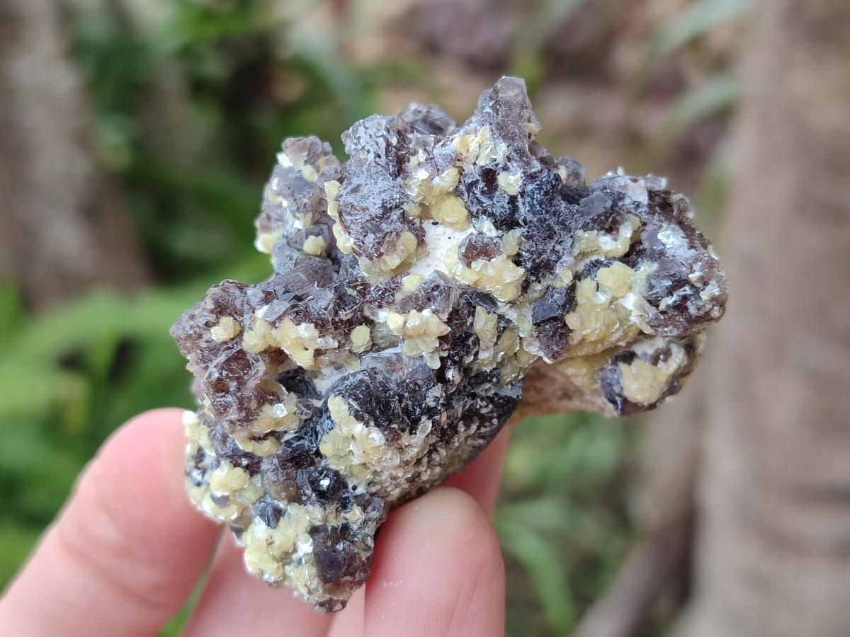 Natural Smokey Fluorite with yellow Muscovite Mica Specimens x From Erongo, Namibia - Toprock Gemstones and Minerals 