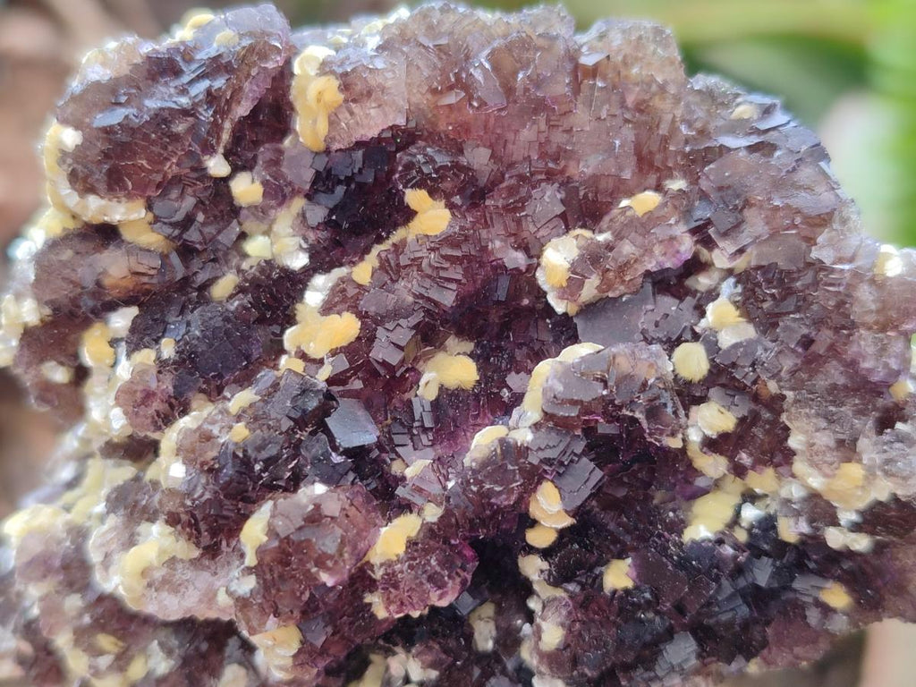 Natural Smokey Fluorite with yellow Muscovite Mica Specimens x From Erongo, Namibia - Toprock Gemstones and Minerals 