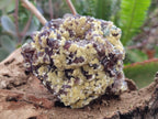 Natural Smokey Fluorite with yellow Muscovite Mica Specimens x From Erongo, Namibia - Toprock Gemstones and Minerals 