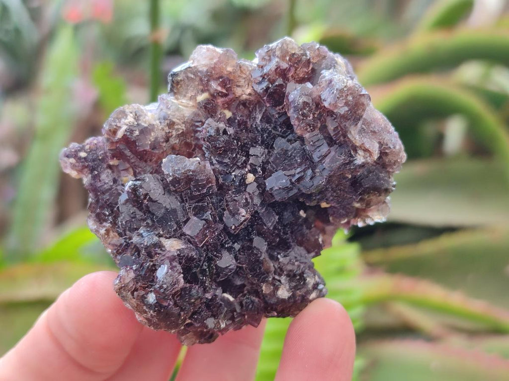 Natural Smokey Fluorite with yellow Muscovite Mica Specimens x From Erongo, Namibia - Toprock Gemstones and Minerals 