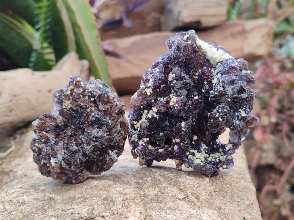 Natural Smokey Fluorite with yellow Muscovite Mica Specimens x From Erongo, Namibia - Toprock Gemstones and Minerals 