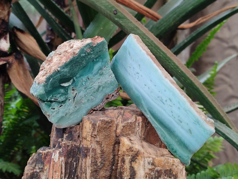 Polished One Side Great Dyke Mtorolite Chrysoprase Slices x 6 From Great Dyke Mountain Range, Zimbabwe - Toprock Gemstones and Minerals 
