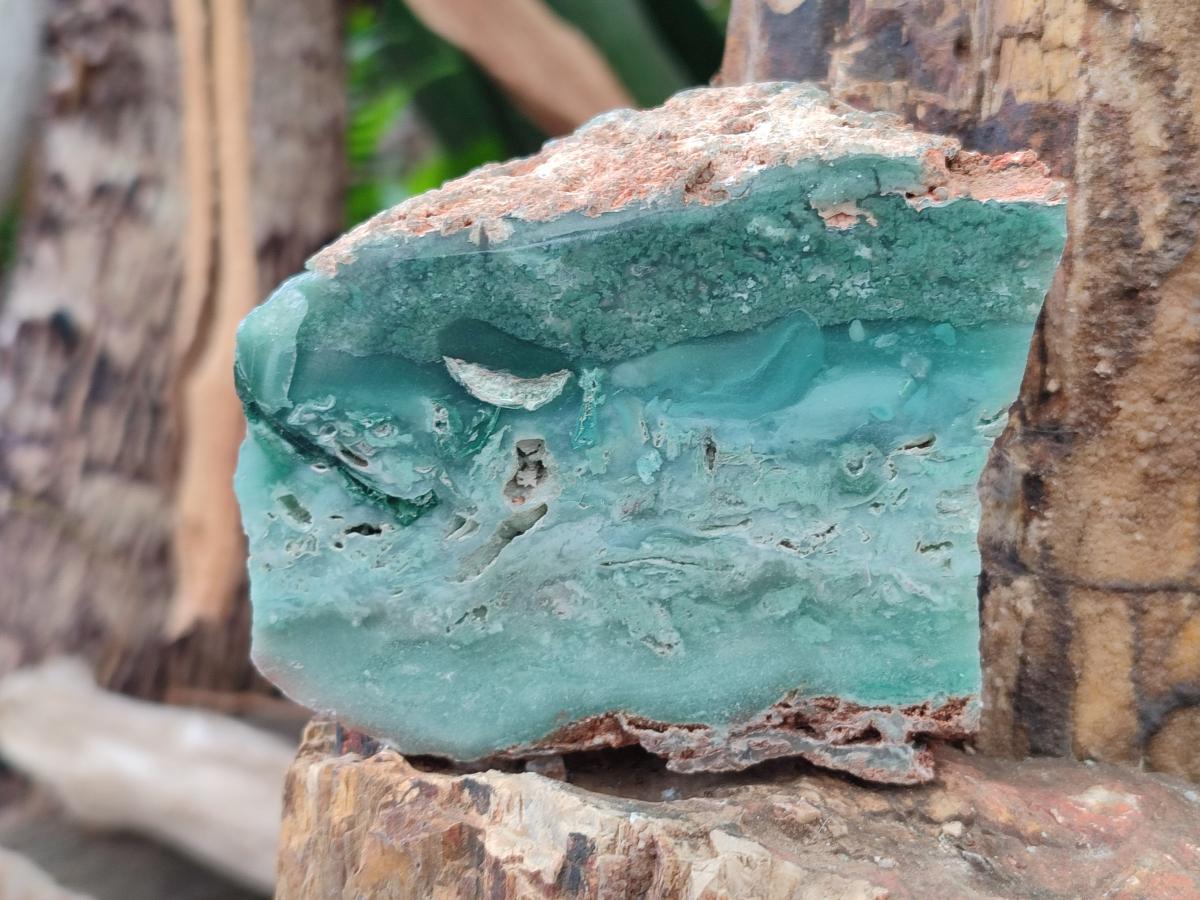 Polished One Side Great Dyke Mtorolite Chrysoprase Slices x 6 From Great Dyke Mountain Range, Zimbabwe - Toprock Gemstones and Minerals 