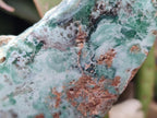 Polished One Side Great Dyke Mtorolite Chrysoprase Slices x 6 From Great Dyke Mountain Range, Zimbabwe - Toprock Gemstones and Minerals 