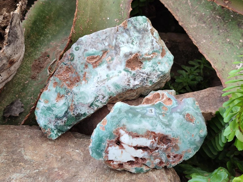 Polished One Side Great Dyke Mtorolite Chrysoprase Slices x 6 From Great Dyke Mountain Range, Zimbabwe - Toprock Gemstones and Minerals 
