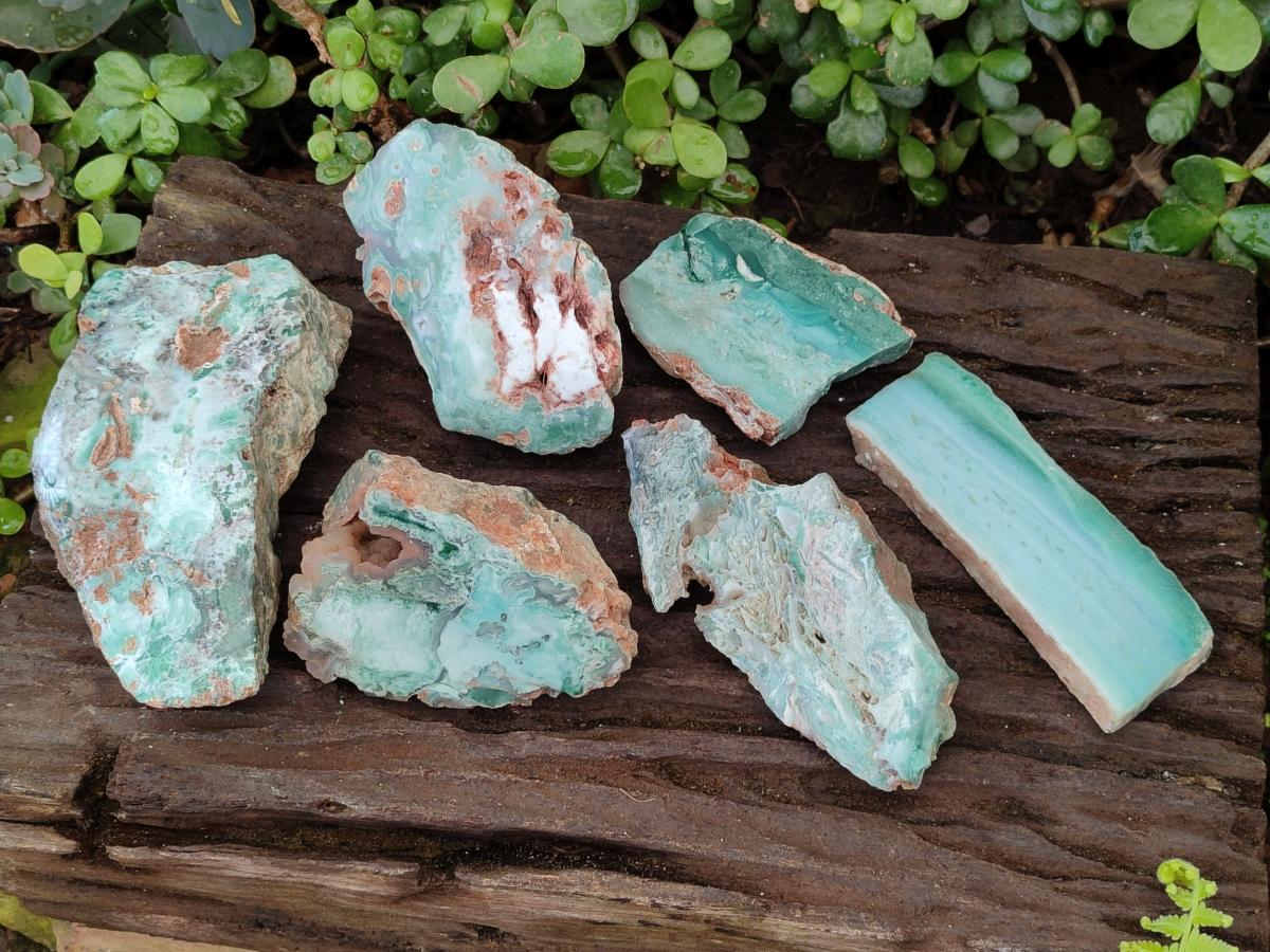 Polished One Side Great Dyke Mtorolite Chrysoprase Slices x 6 From Great Dyke Mountain Range, Zimbabwe - Toprock Gemstones and Minerals 