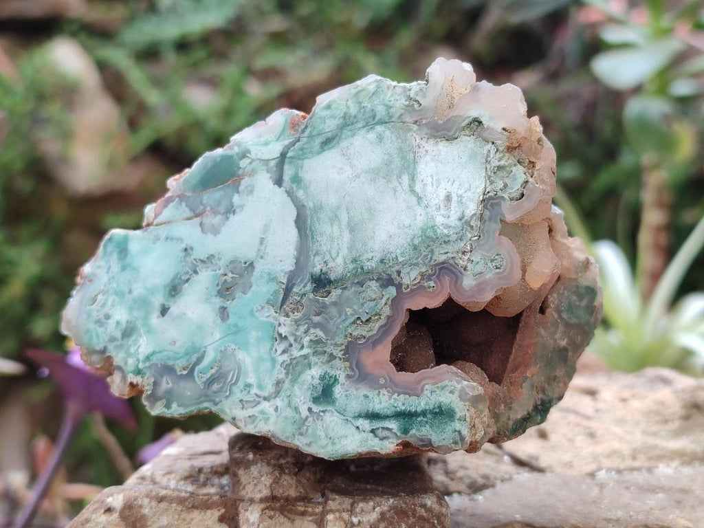 Polished One Side Great Dyke Mtorolite Chrysoprase Slices x 6 From Great Dyke Mountain Range, Zimbabwe - Toprock Gemstones and Minerals 