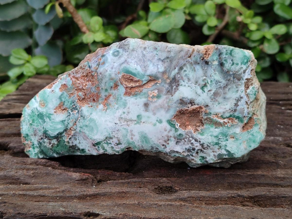 Polished One Side Great Dyke Mtorolite Chrysoprase Slices x 6 From Great Dyke Mountain Range, Zimbabwe - Toprock Gemstones and Minerals 