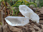 Natural Clear Mpika Quartz Crystals x 35 From Mpika, Zambia - Toprock Gemstones and Minerals 