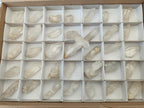 Natural Clear Mpika Quartz Crystals x 35 From Mpika, Zambia - Toprock Gemstones and Minerals 