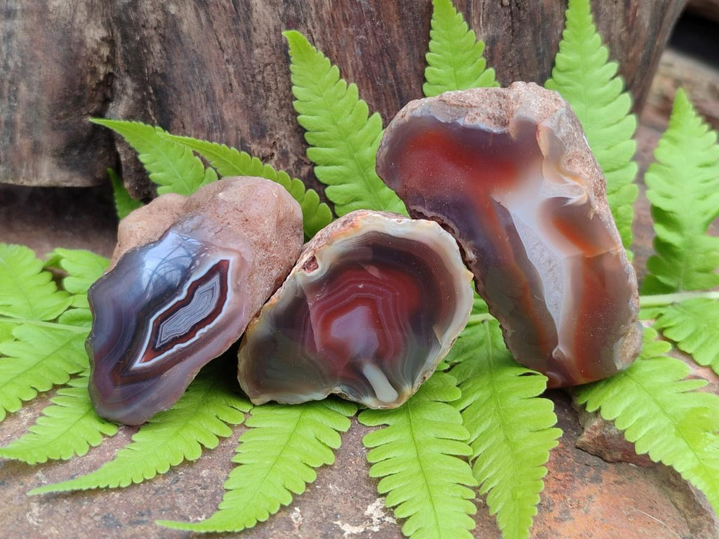 Polished One Side Red Shashe River Agate Nodules x 35 From Shashe River, Zimbabwe