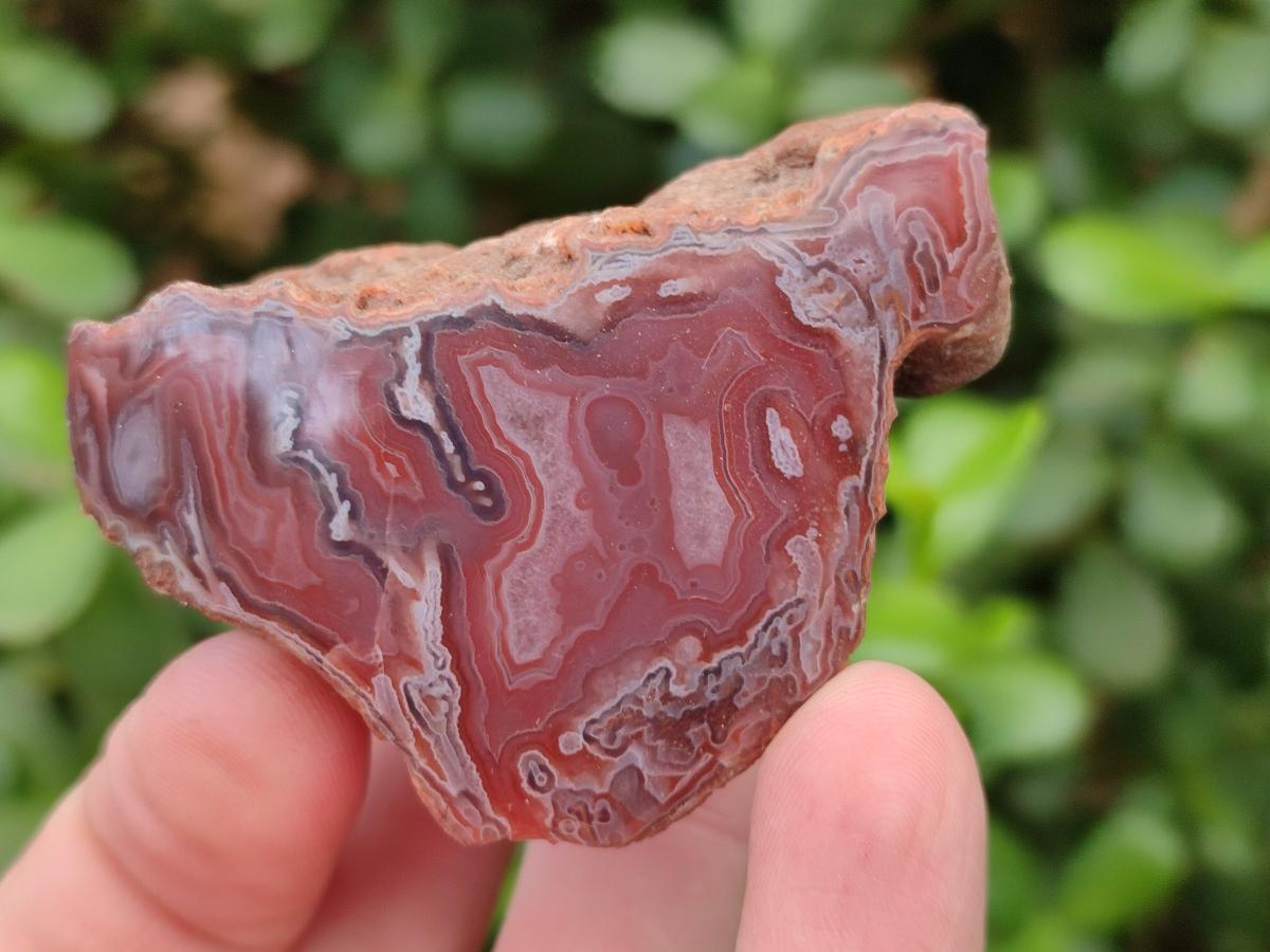 Polished One Side Red Shashe River Agate Nodules x 35 From Shashe River, Zimbabwe