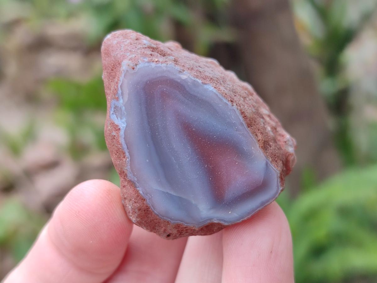 Polished One Side Red Shashe River Agate Nodules x 35 From Shashe River, Zimbabwe