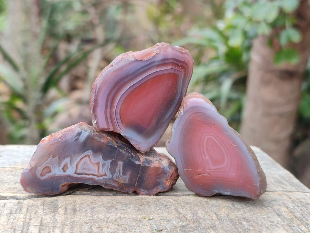 Polished One Side Red Shashe River Agate Nodules x 35 From Shashe River, Zimbabwe