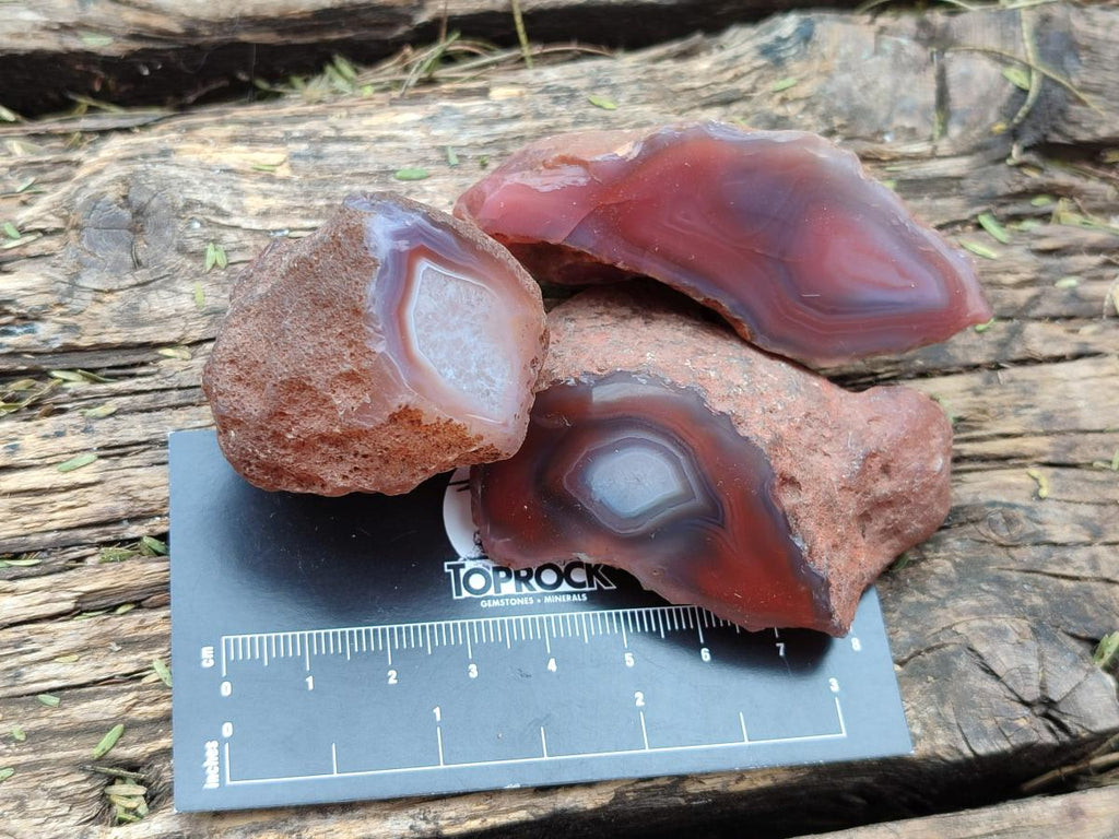 Polished One Side Red Shashe River Agate Nodules x 35 From Shashe River, Zimbabwe