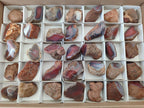 Polished One Side Red Shashe River Agate Nodules x 35 From Shashe River, Zimbabwe
