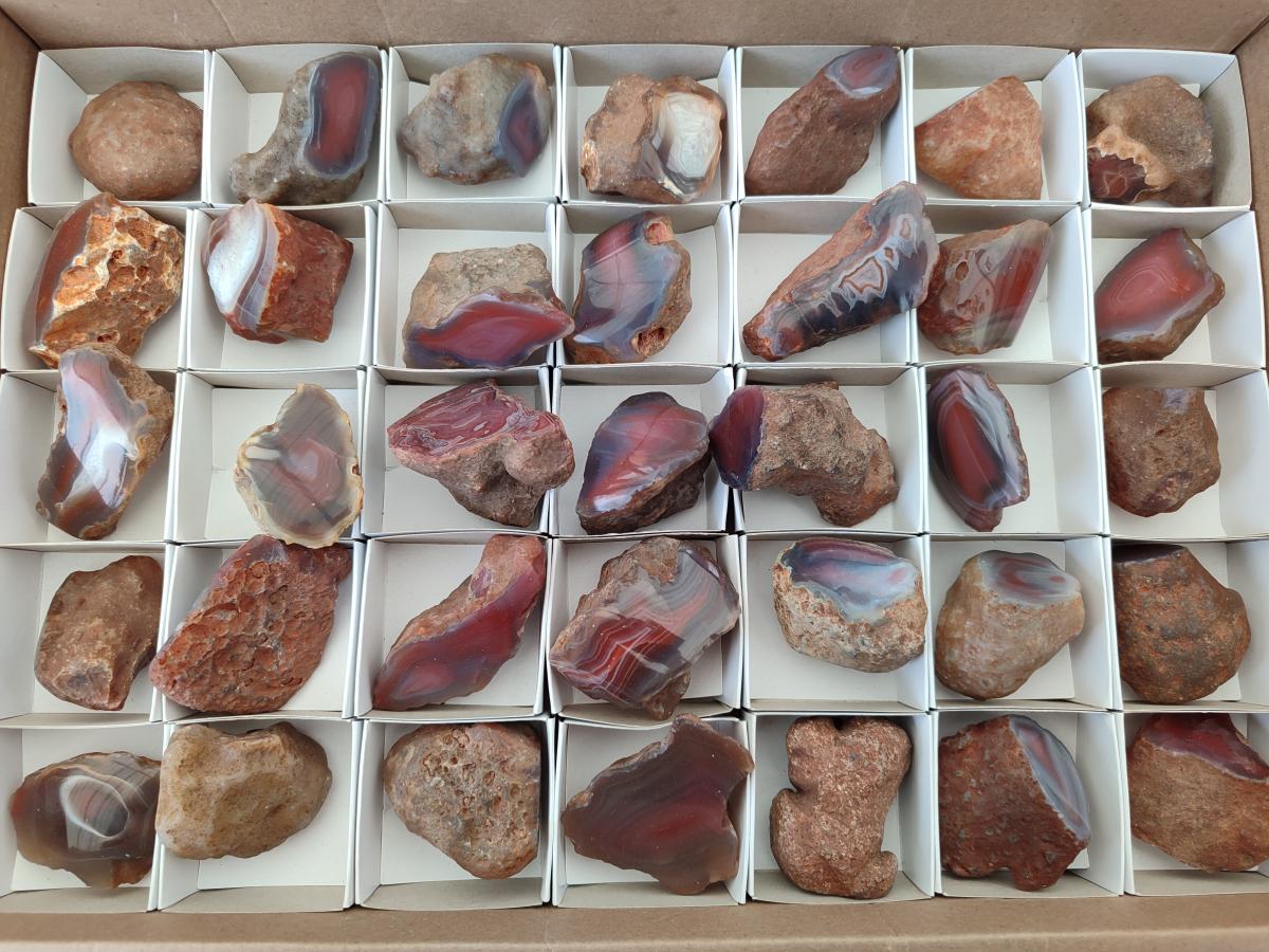 Polished One Side Red Shashe River Agate Nodules x 35 From Shashe River, Zimbabwe
