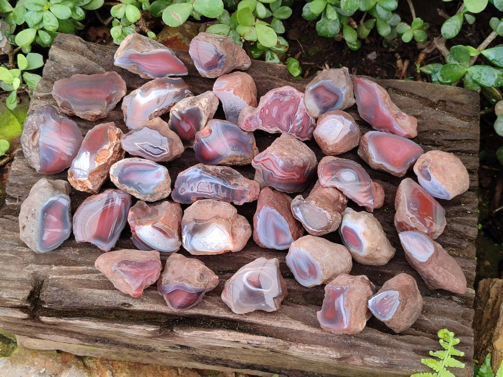 Polished One Side Red Shashe River Agate Nodules x 35 From Shashe River, Zimbabwe