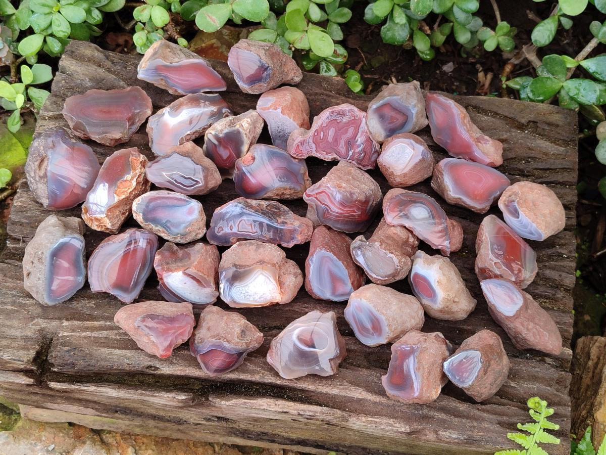Polished One Side Red Shashe River Agate Nodules x 35 From Shashe River, Zimbabwe