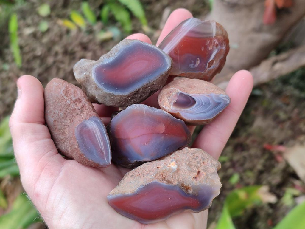 Polished One Side Red Shashe River Agate Nodules x 35 From Shashe River, Zimbabwe