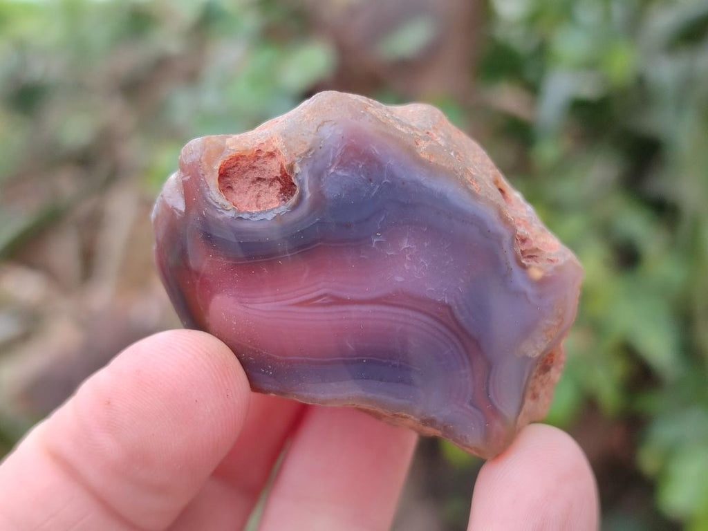 Polished One Side Red Shashe River Agate Nodules x 35 From Shashe River, Zimbabwe